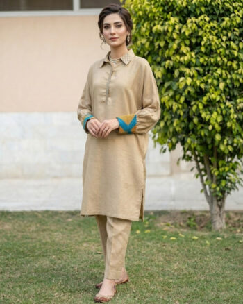 Skinny Beige Casual Bbasic